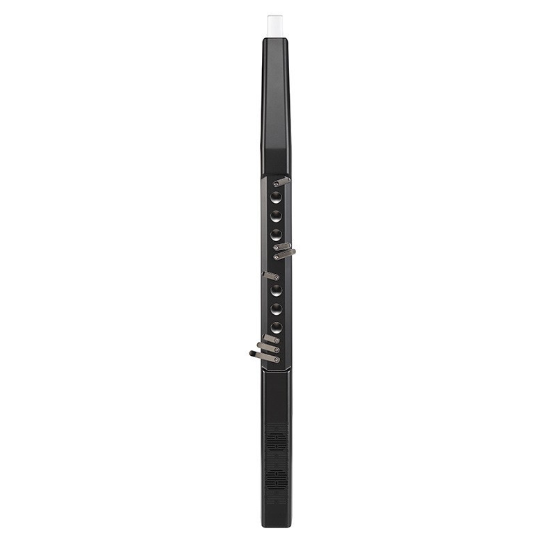 Electronic Wind Instrument, Mu - Musical Instrument Flute 评论和价格