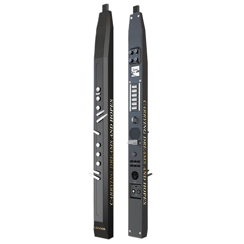 Electric Saxophone Beginner Fr - Musical Instruments 评论和价格