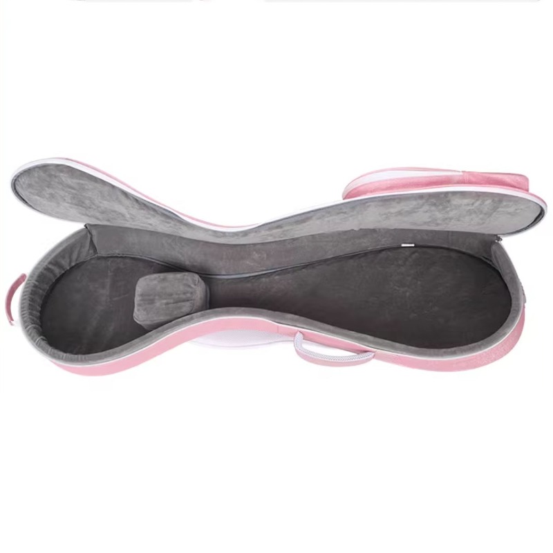 Imitation Leather Adult Pipa B - Musical Instrument Bag 评论和价格