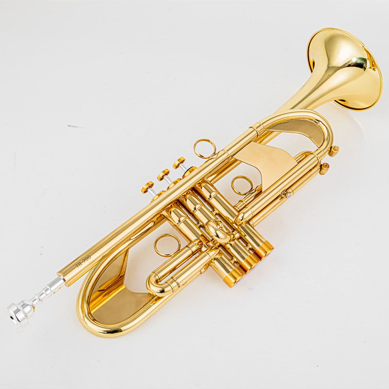 Vincent BACH 700 Bb Trumpet B  - Musical Instrument Fagot 评论和价格
