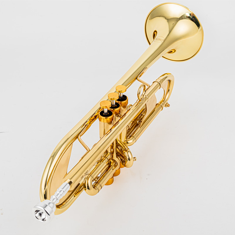 Vincent BACH 700 Bb Trumpet B  - Musical Instrument Fagot 评论和价格
