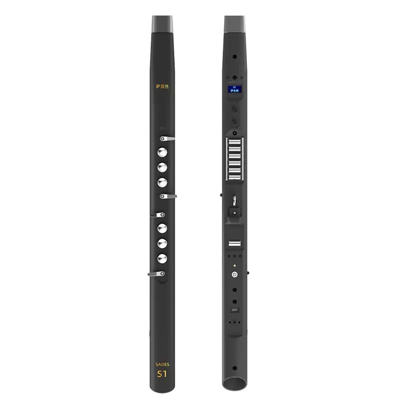 Electric Wind Instrument, Begi - Musical Instruments 评论和价格