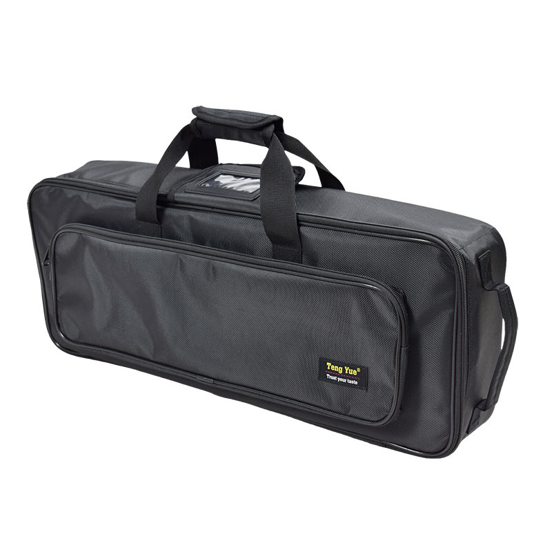 Violin Backpack, 2461 Violin C - Musical Instrument Bag 评论和价格